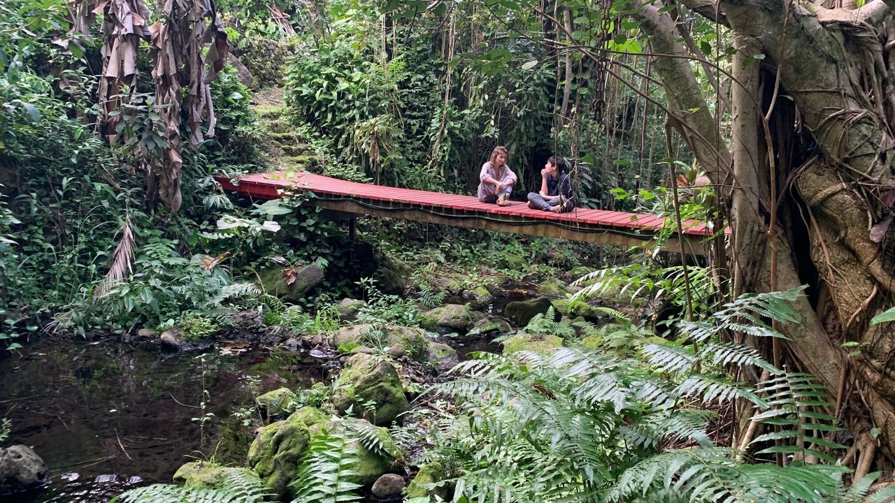 Photo of Outdoor in Kukuihaele