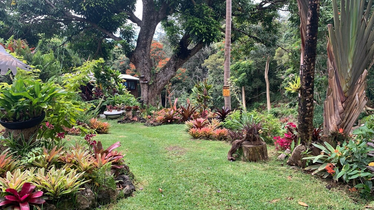 Photo of Outdoor in Kukuihaele