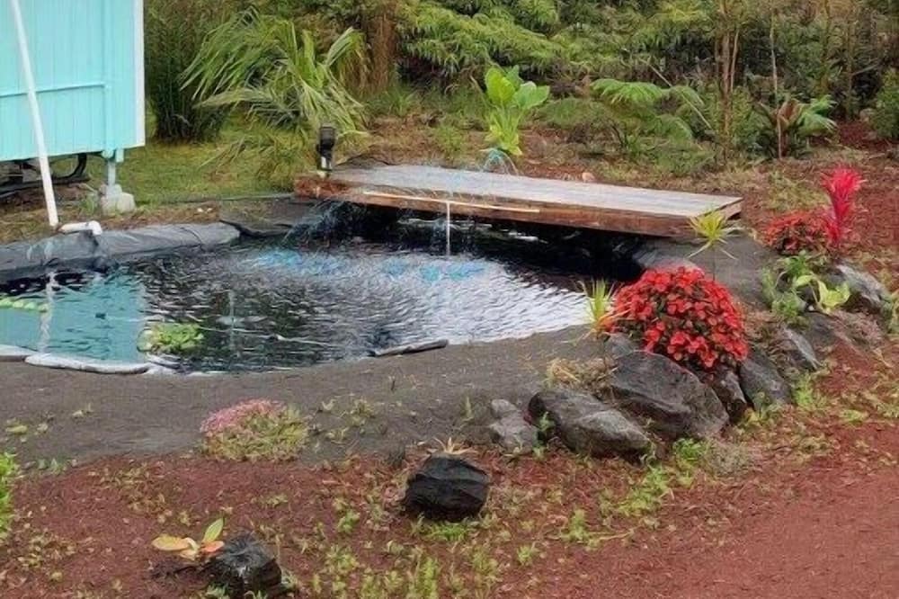 Photo of Outdoor in Eden Roc