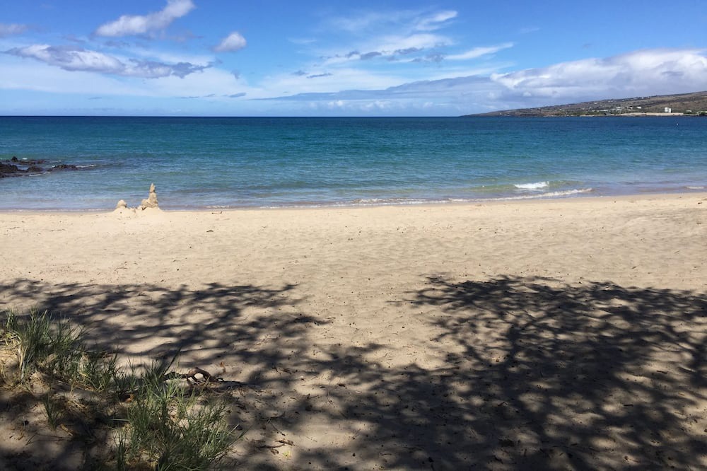 Photo of Others in Honokaa