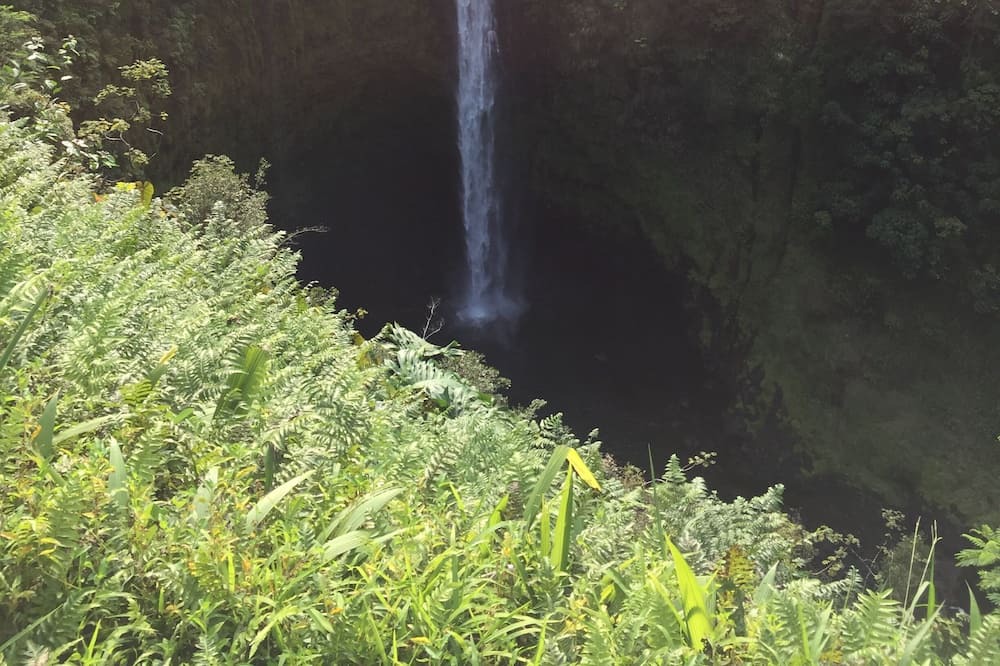Photo of Others in Honokaa