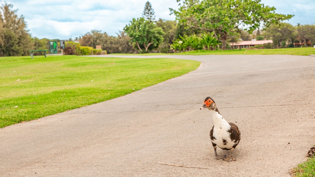 Photo of Others in Waikoloa