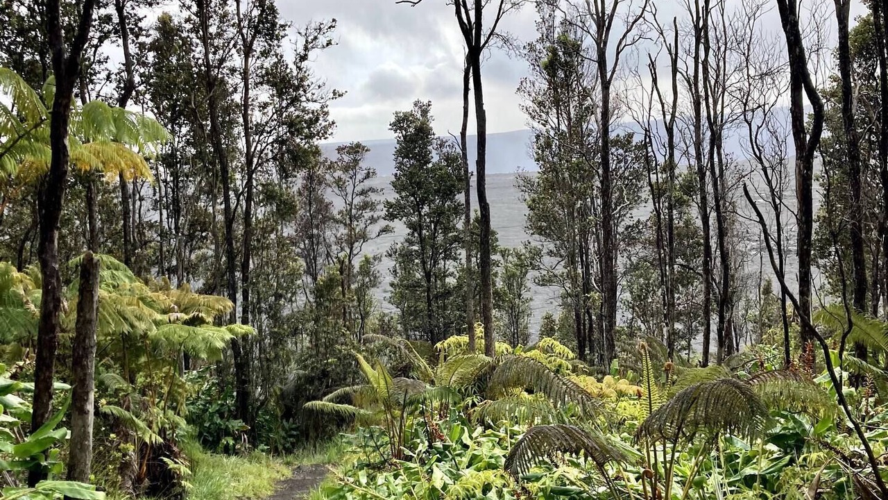 Photo of Outdoor in Royal Hawaiian Estates