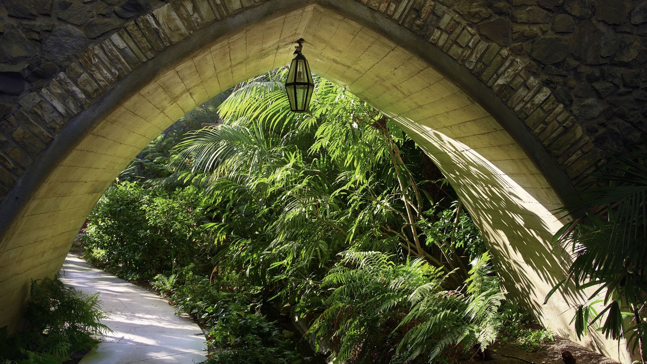 Photo of Outdoor in Bel Air