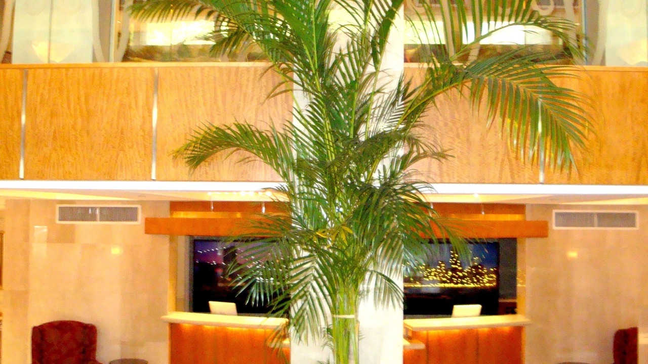Photo of Others in Turtle Bay