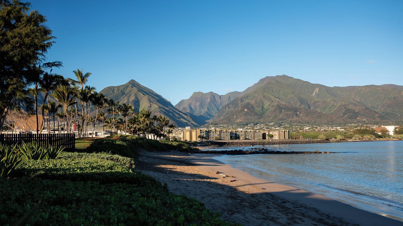 Photo of Others in Kahului
