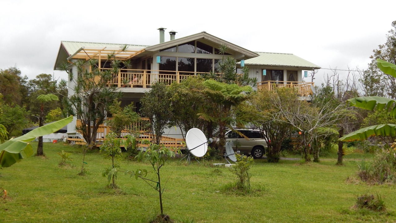 Photo of Outdoor in Fern Forest