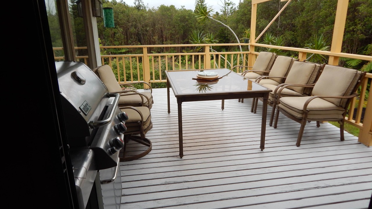 Photo of Outdoor in Fern Forest