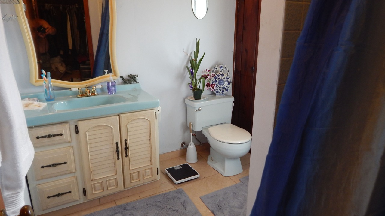 Photo of Bathroom in Fern Forest