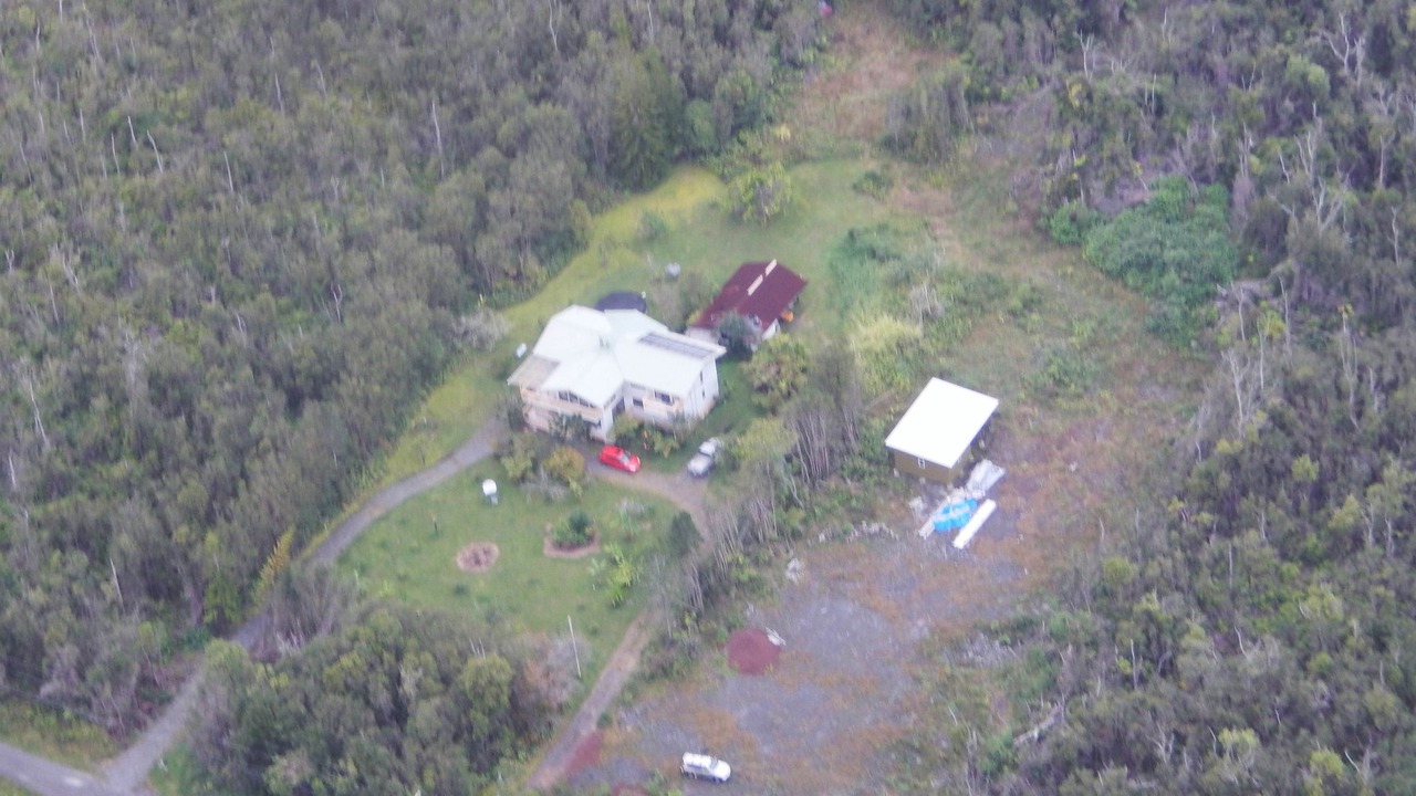 Photo of Outdoor in Fern Forest