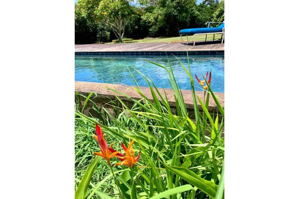 Photo of Outdoor in Pupukea