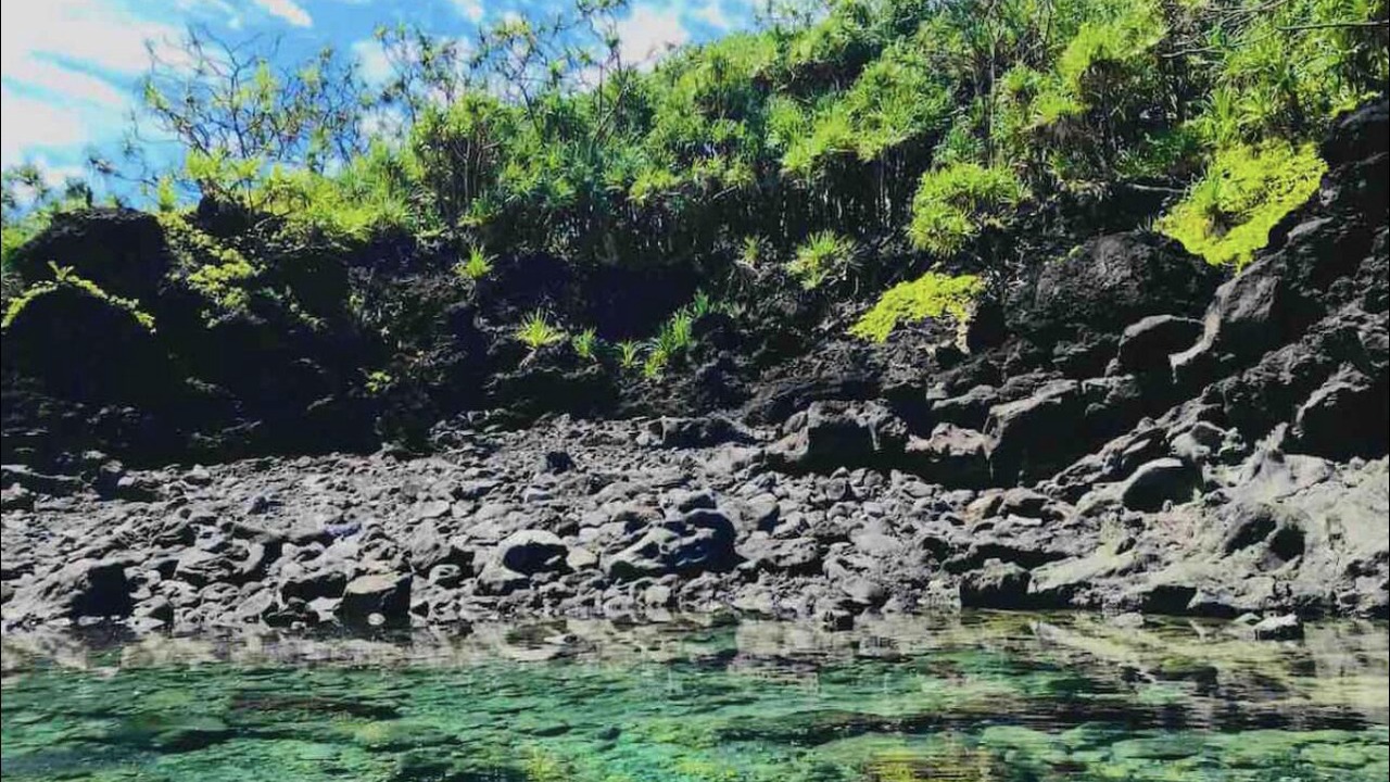 Photo of Others in Kapoho