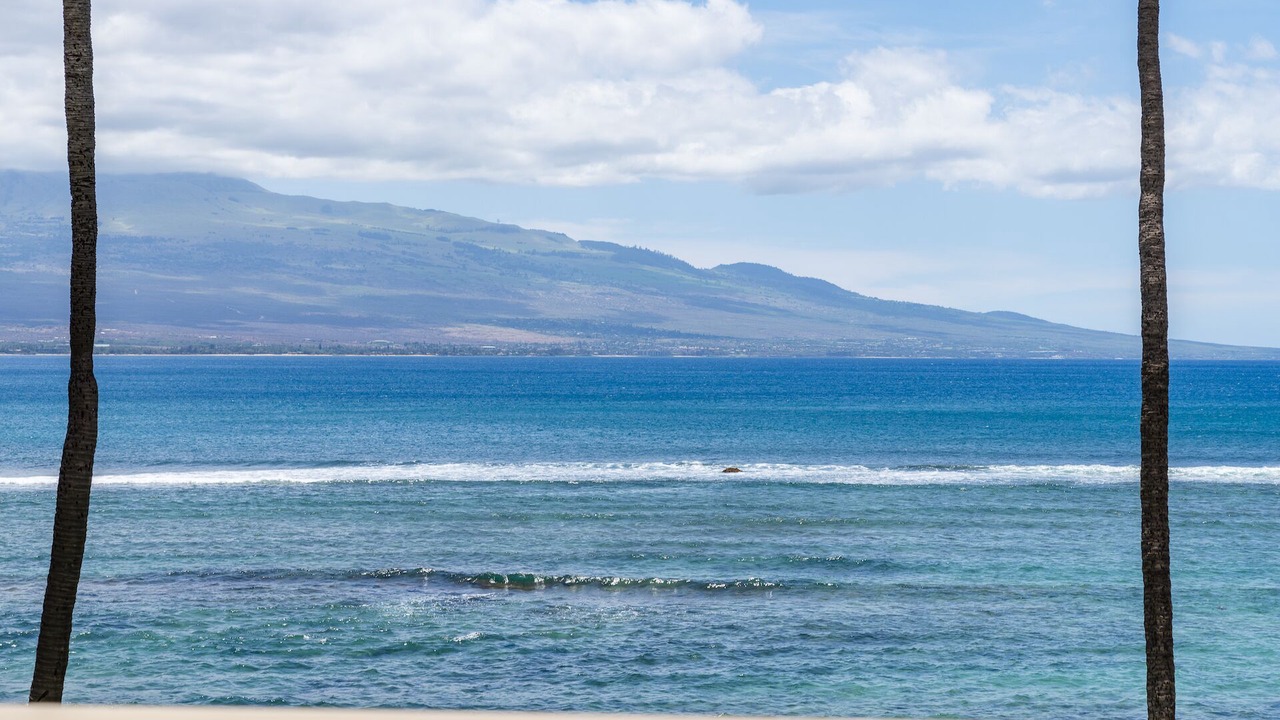 Photo of Others in Maalaea