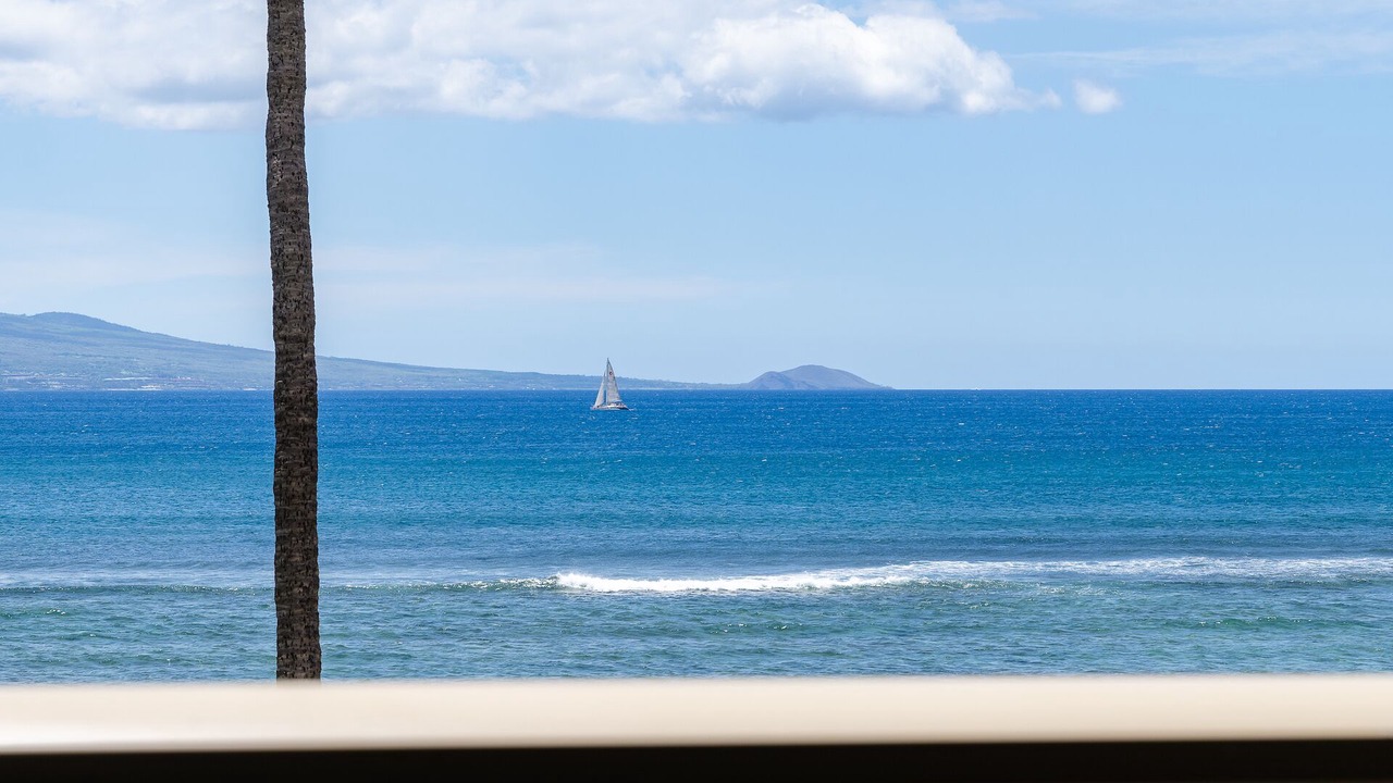 Photo of Others in Maalaea