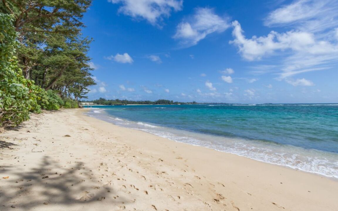 Photo of Others in Hauula