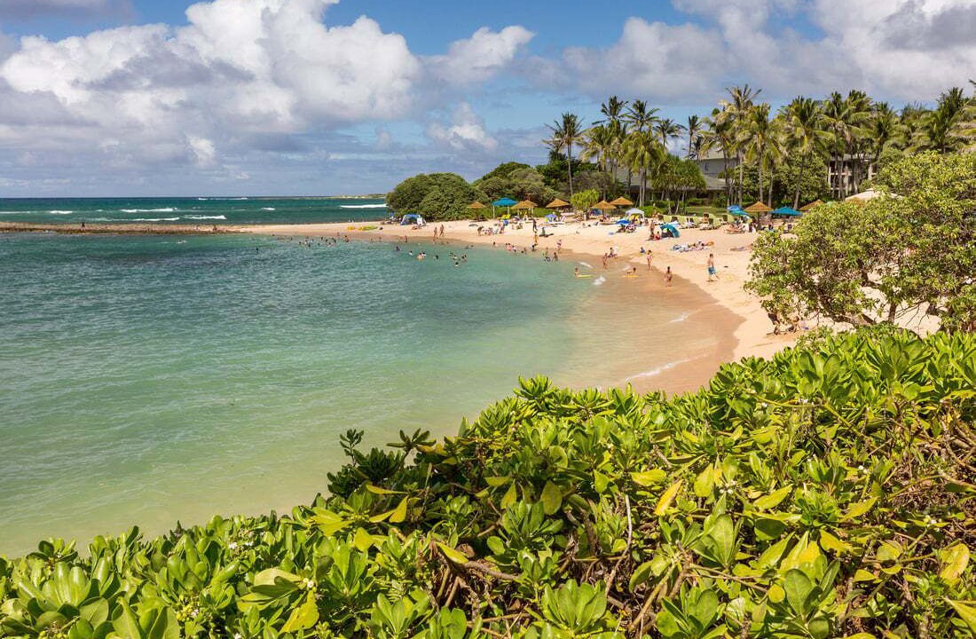 Photo of Others in Hauula