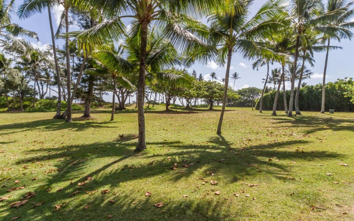 Photo of Outdoor in Hauula