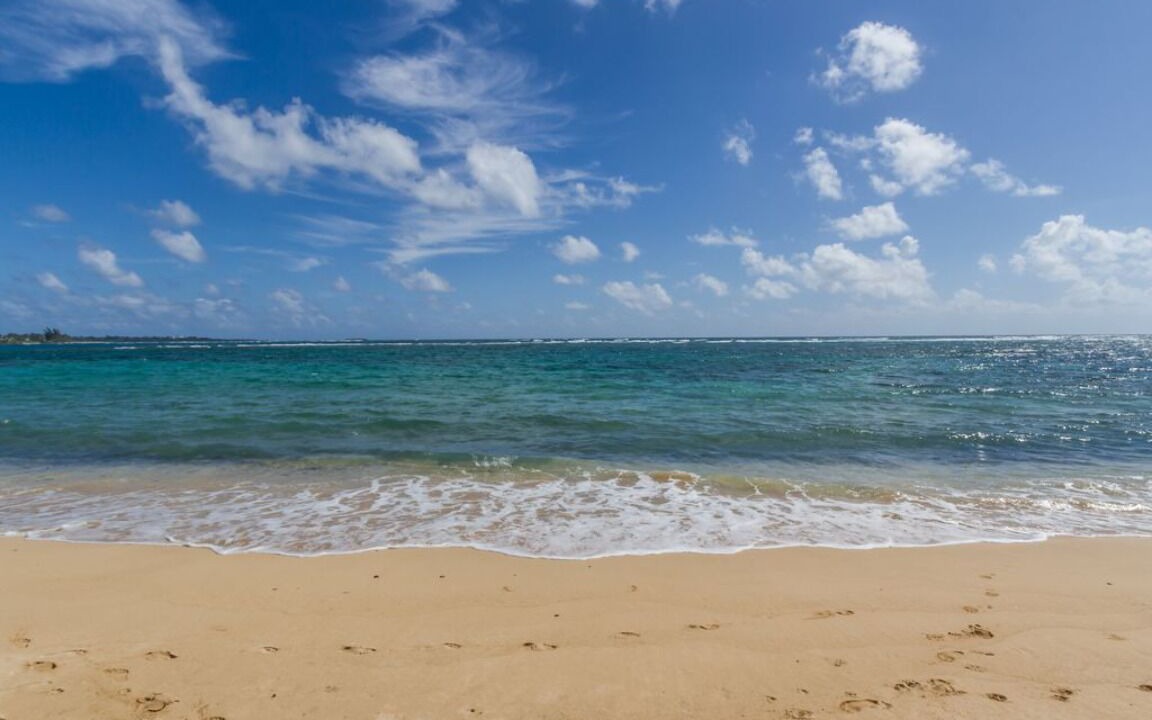 Photo of Others in Hauula