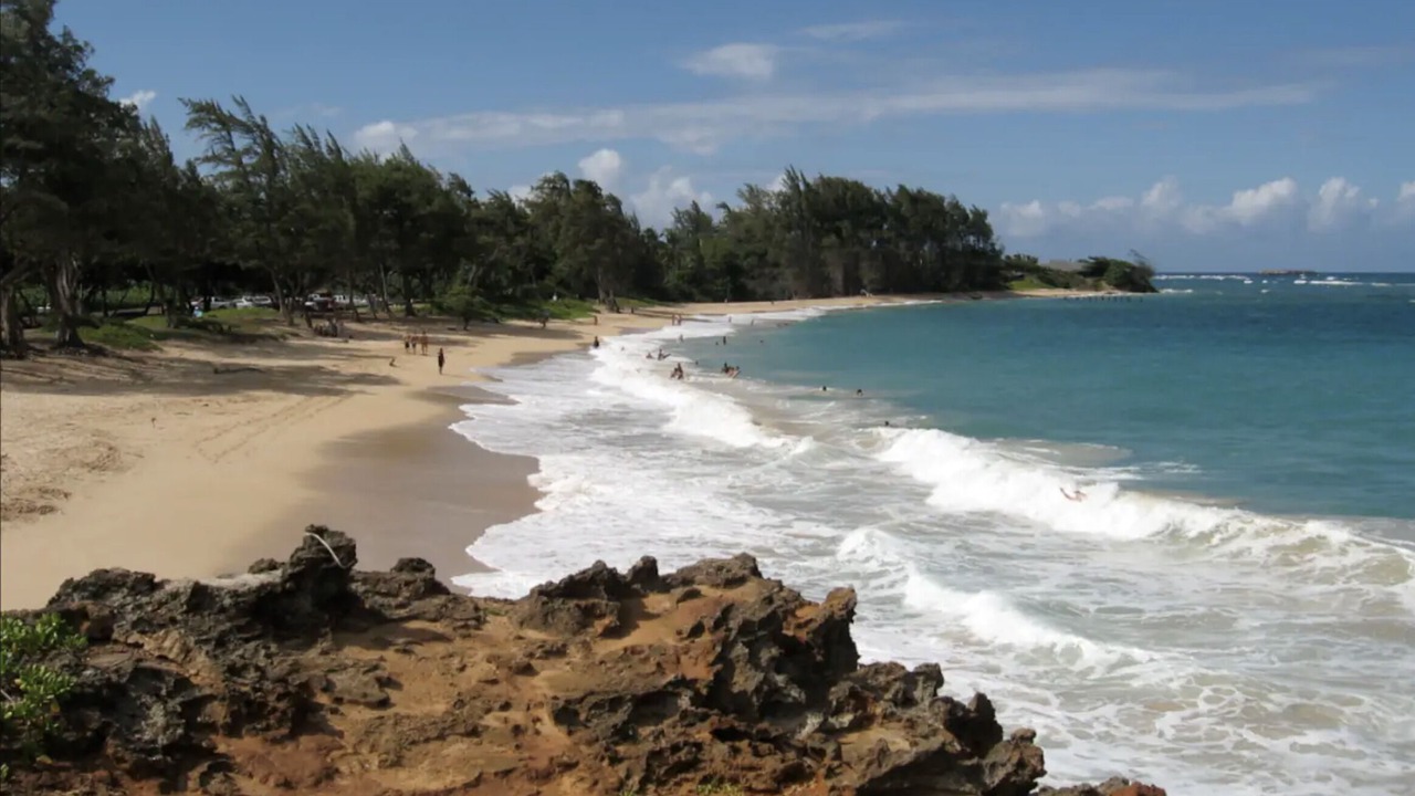Photo of Others in Hauula