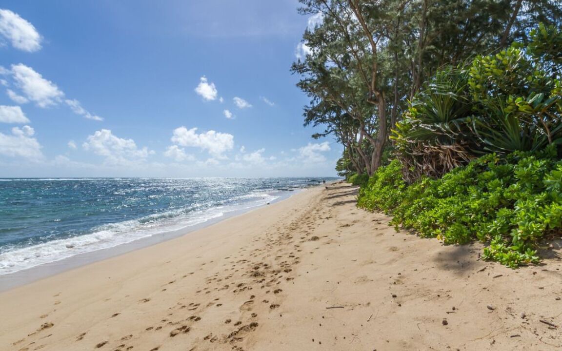 Photo of Others in Hauula