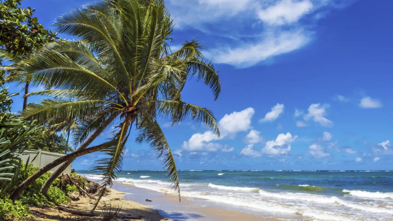 Photo of Others in Hauula