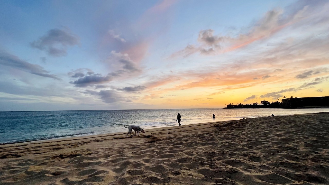 Photo of Others in Makaha Valley