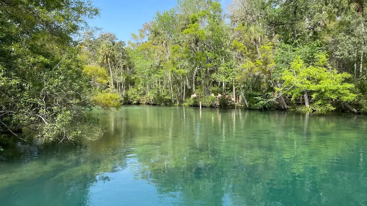 Photo of Outdoor in Homosassa