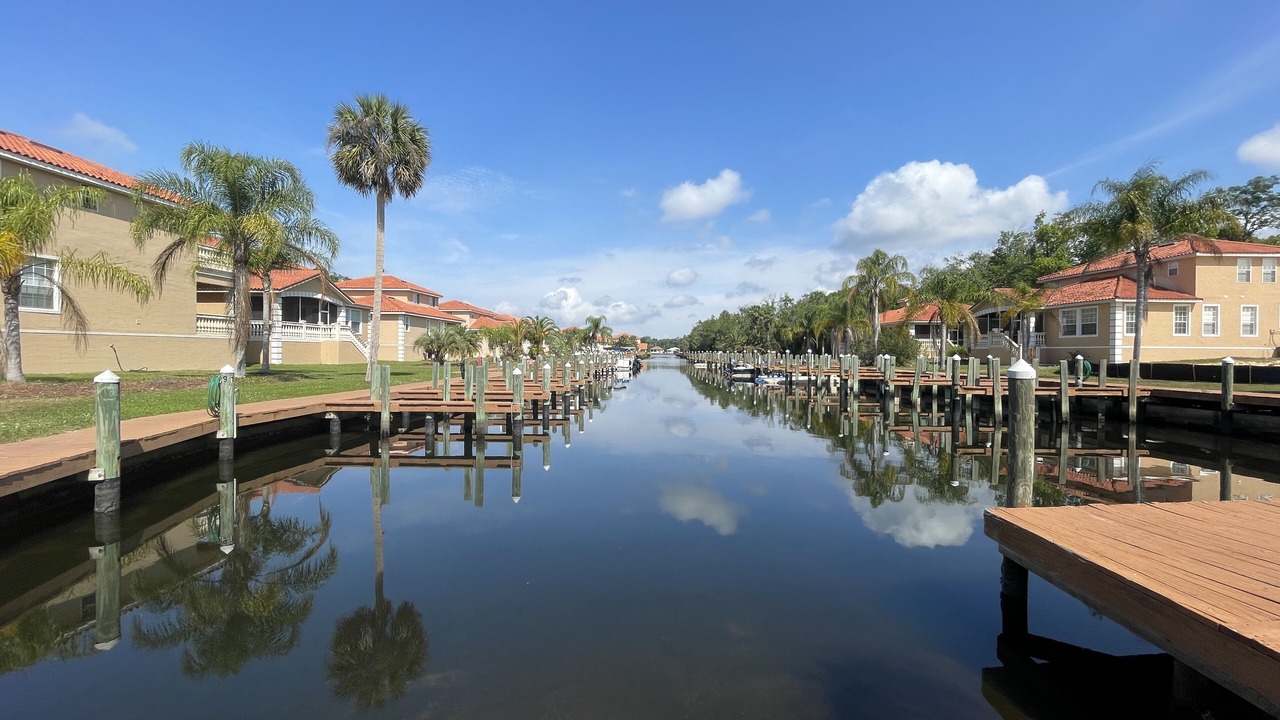 Photo of Others in Homosassa