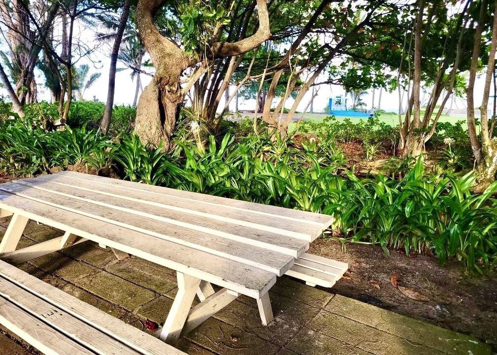 Photo of Outdoor in Punaluu