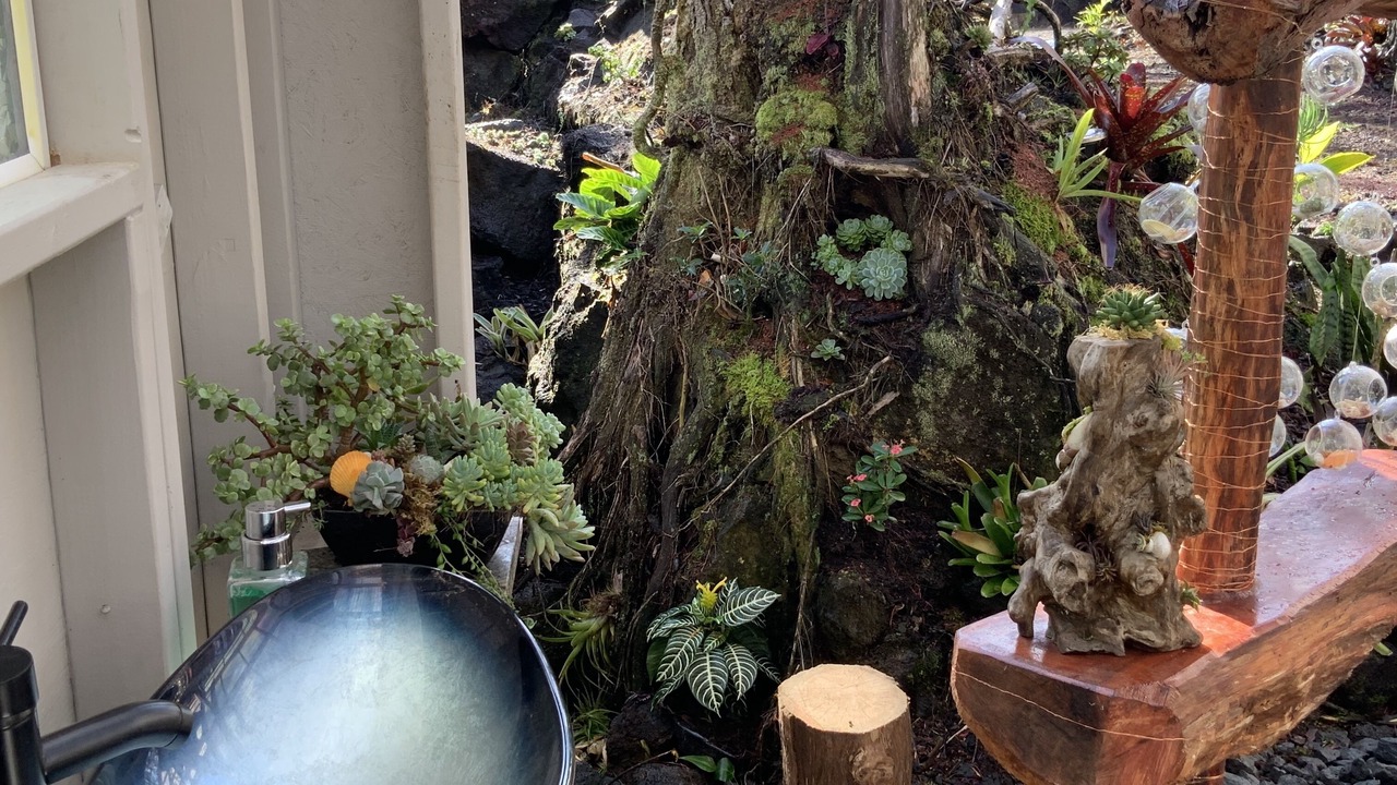 Photo of Outdoor in Eden Roc