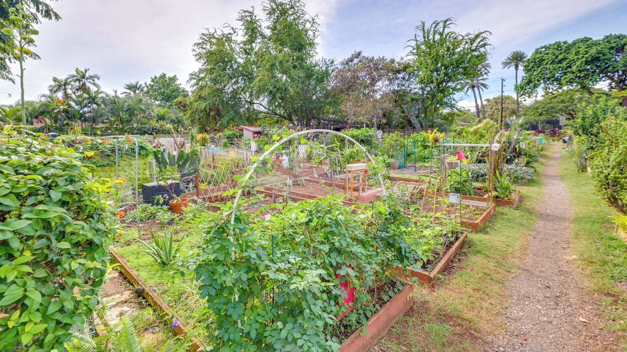 Photo of Outdoor in Diamond Head - Kapahulu - St. Louis