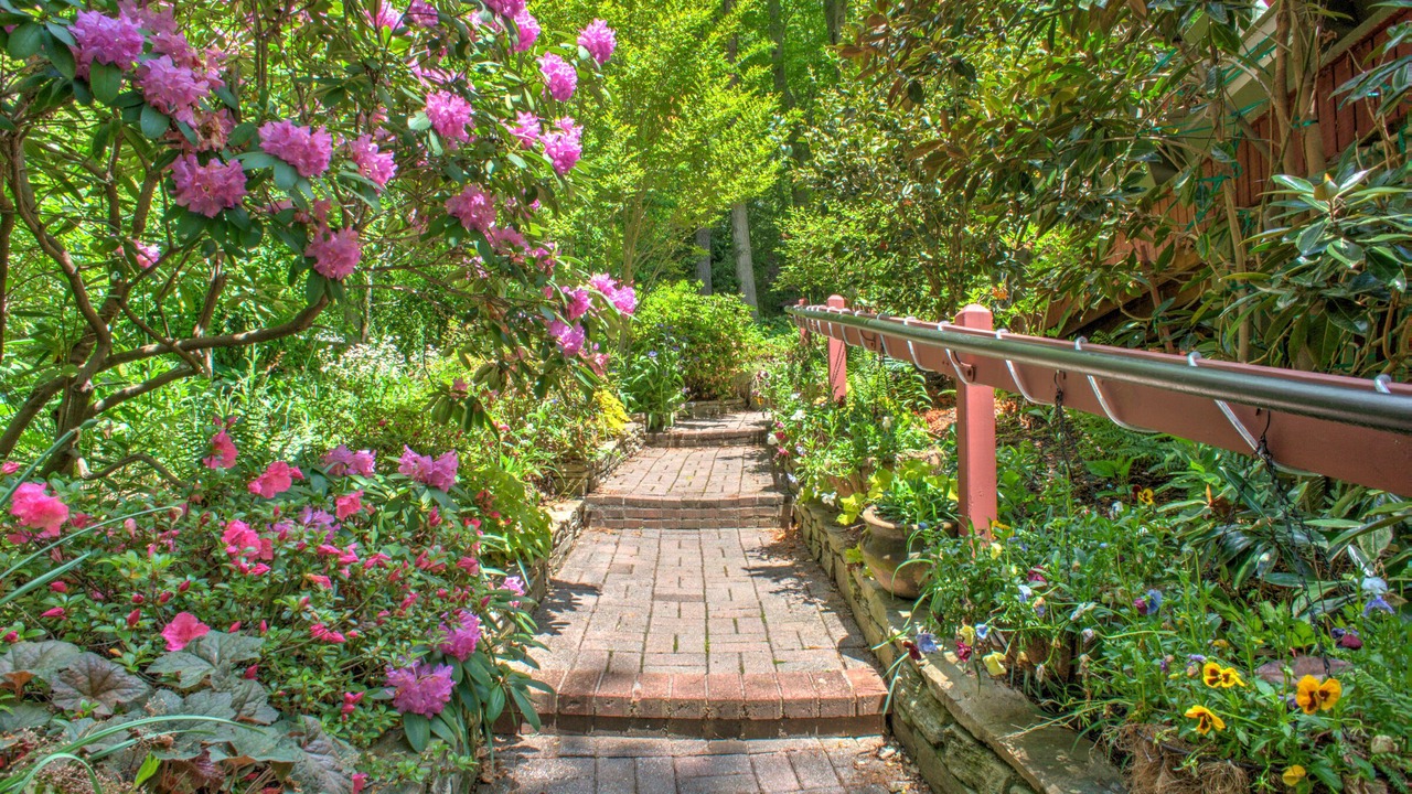 Photo of Outdoor in Weaverville