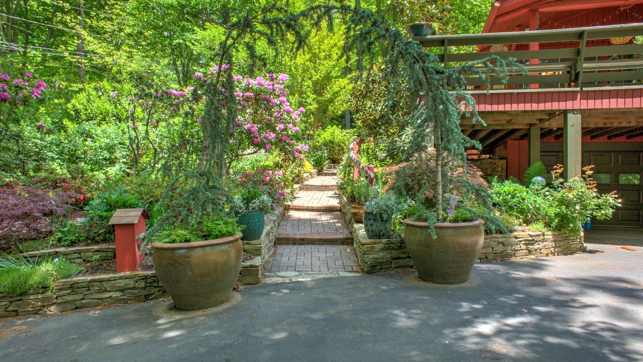 Photo of Outdoor in Weaverville