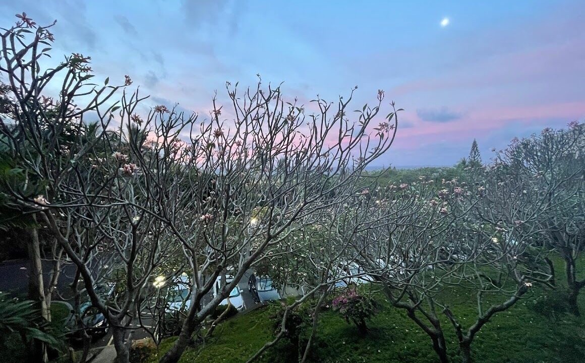 Photo of Outdoor in Makaha Valley