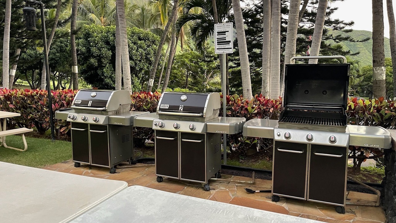Photo of Outdoor in Makaha Valley