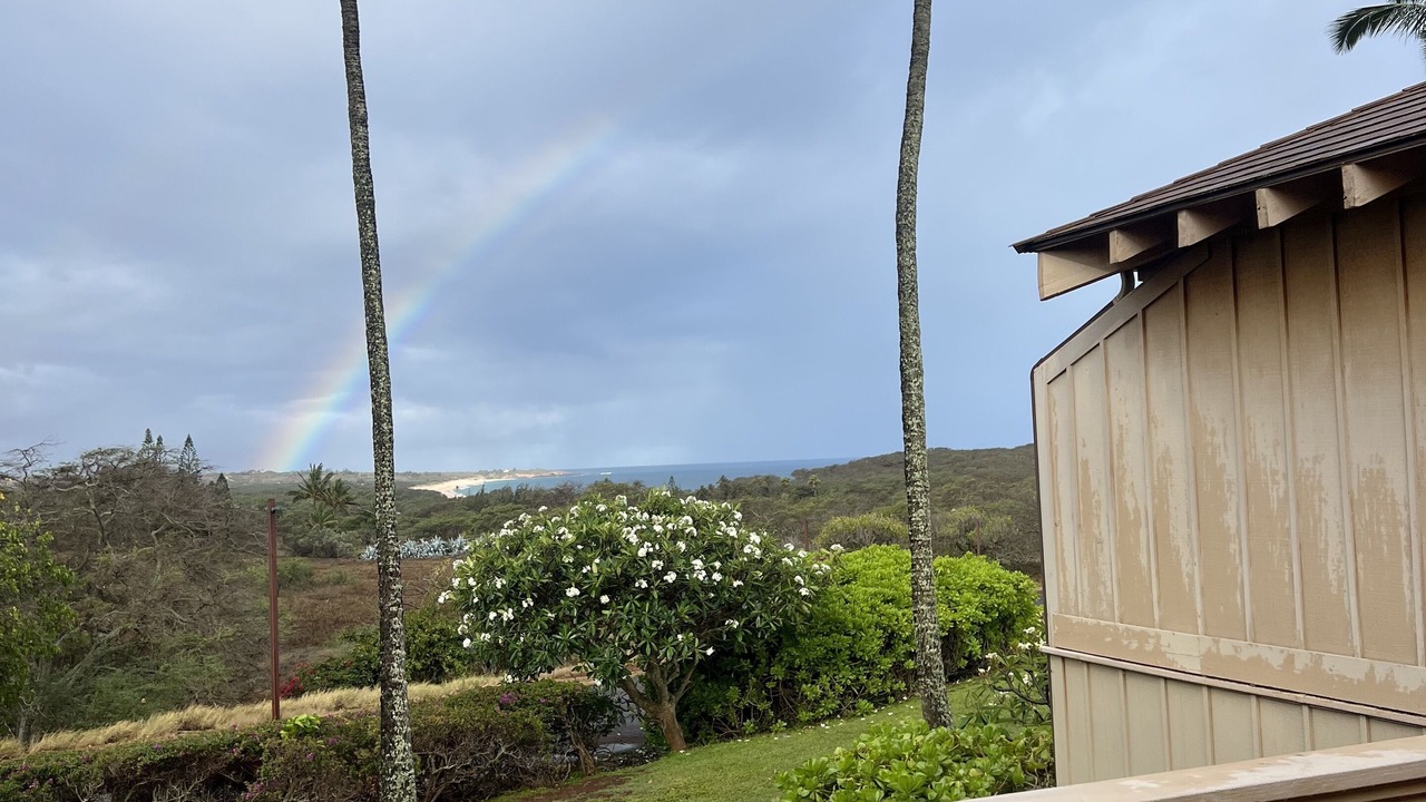Photo of Outdoor in Maunaloa