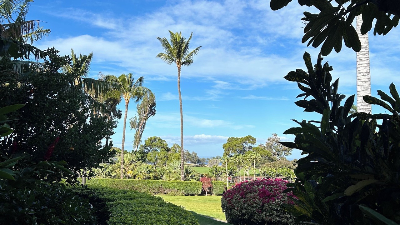 Photo of Outdoor in Waikoloa