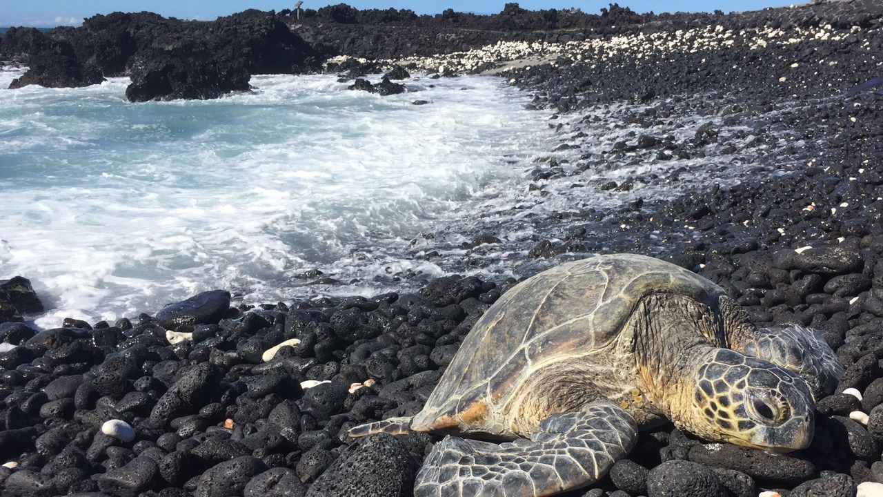 Photo of Others in Waikoloa