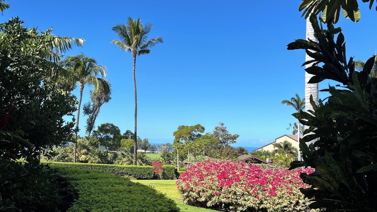 Photo of Outdoor in Waikoloa