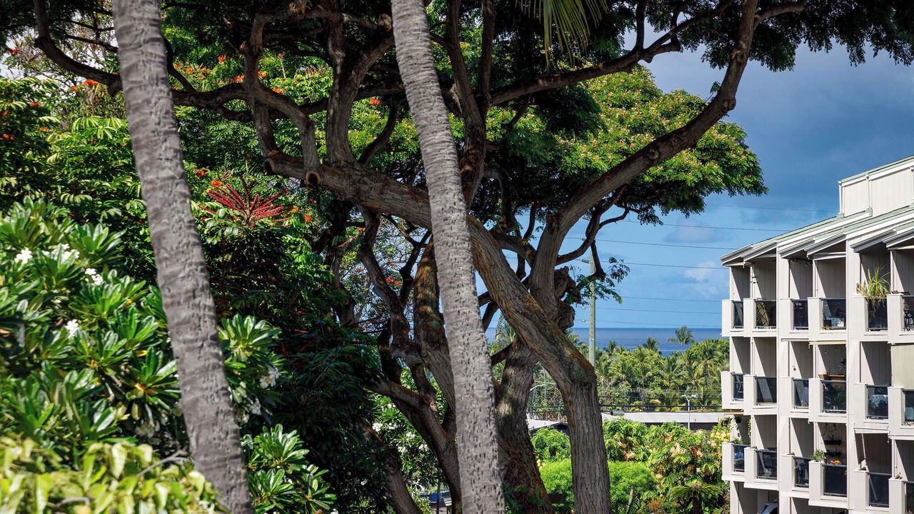 Photo of Outdoor in Historic Kailua Village