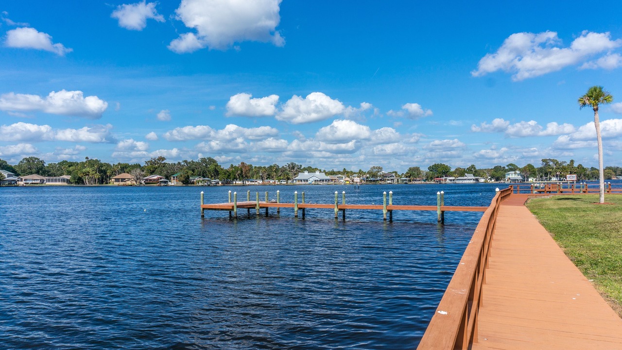 Photo of Others in Homosassa