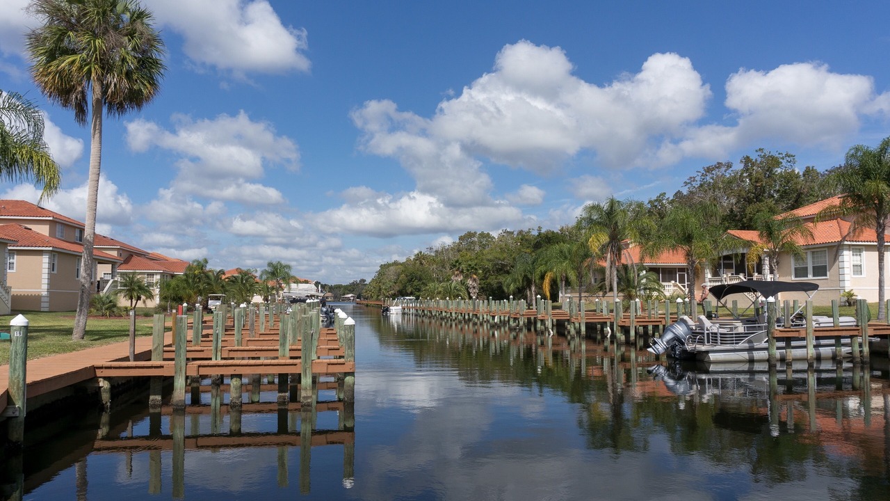 Photo of Others in Homosassa