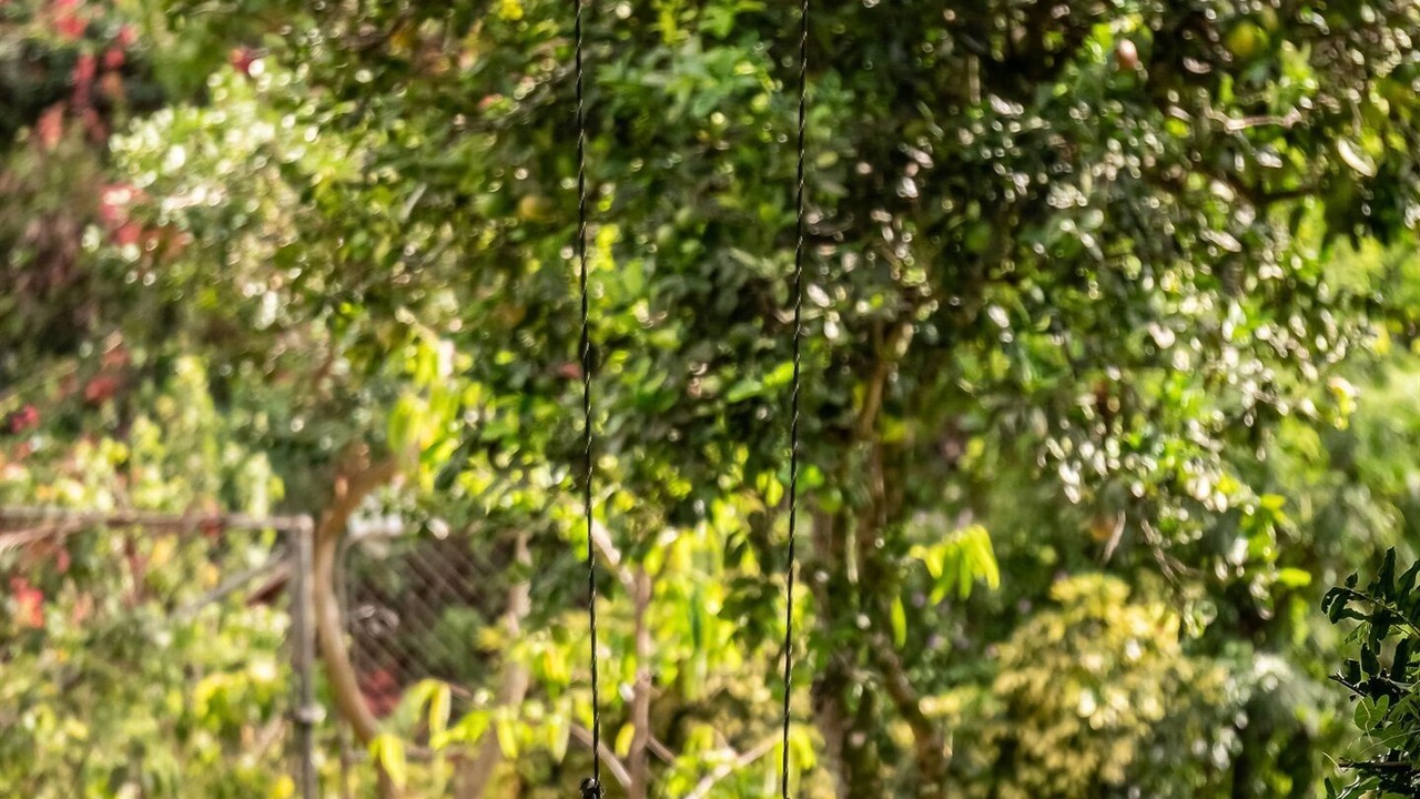 Photo of Outdoor in Pupukea