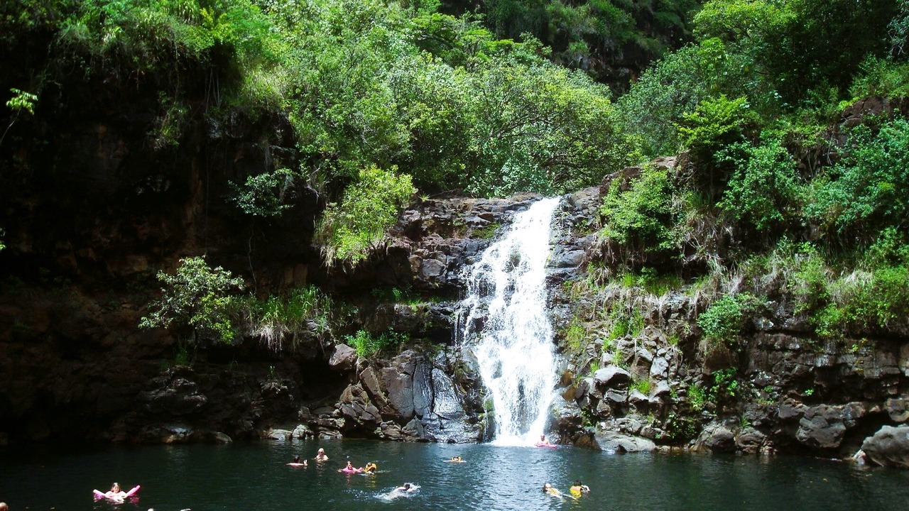 Photo of Others in Pupukea