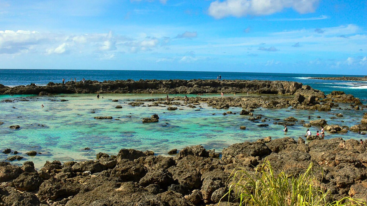 Photo of Others in Pupukea