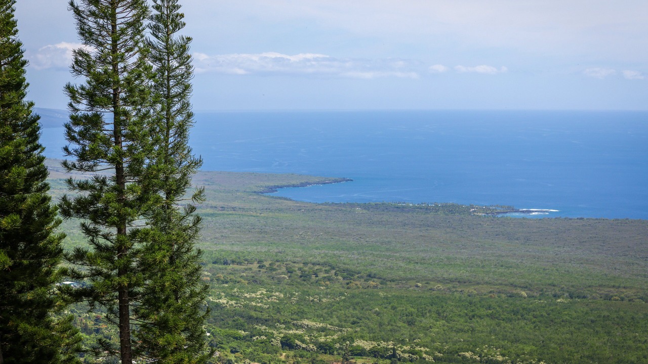 Photo of Others in Honaunau-Napoopoo