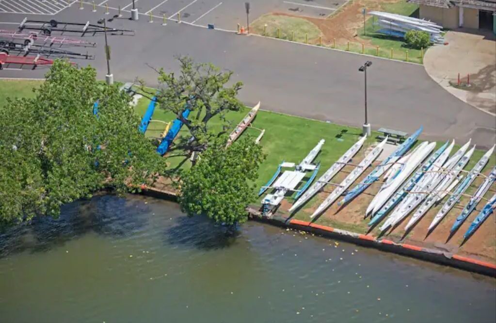 Photo of Outdoor in McCully - Moiliili
