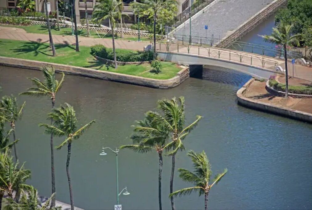 Photo of Outdoor in McCully - Moiliili