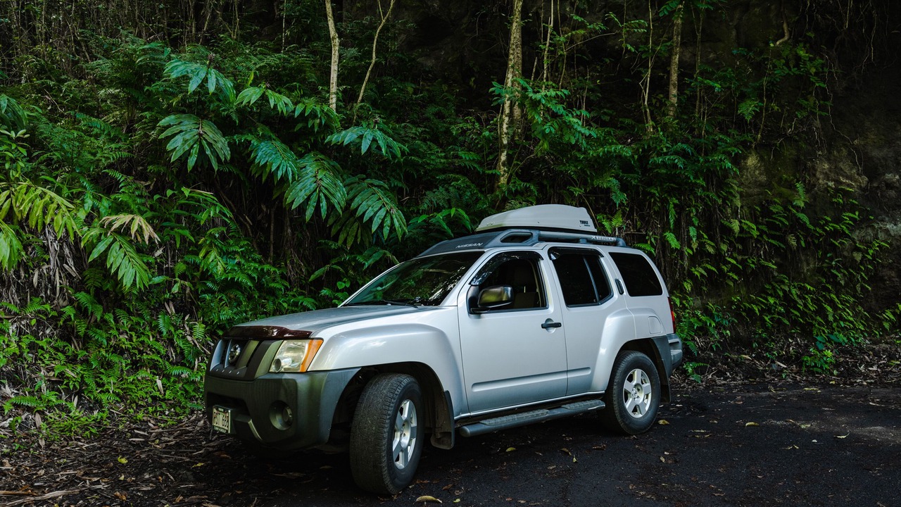 Photo of Outdoor in Kahului