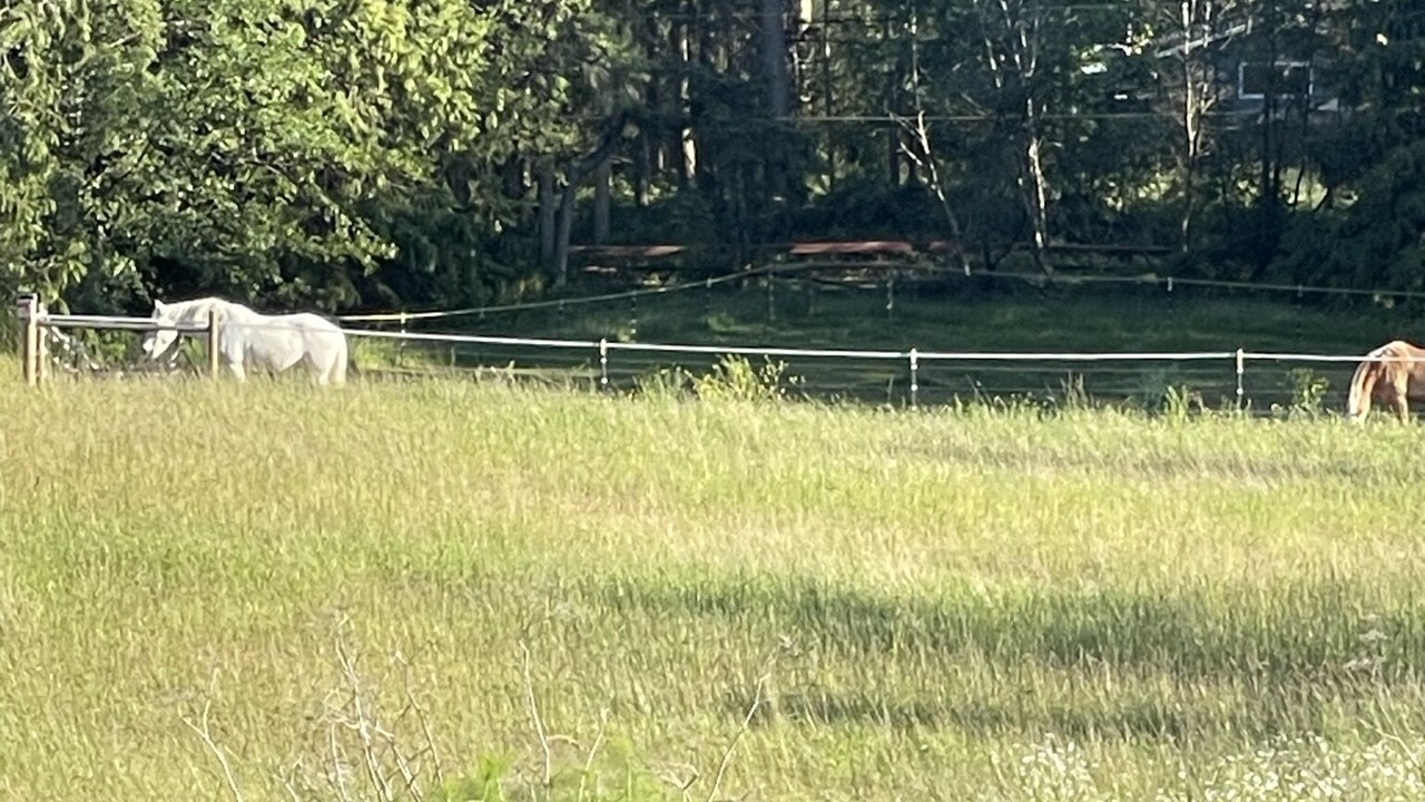 Photo of Others in Port Townsend